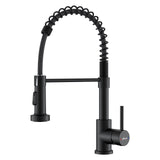 APPASO Wasserhahn Küche Schwarz, Hochdruck Küchenarmatur Schwarz mit Brause, Mischbatterie Küche mit 2 Strahlarten, Spültischarmatur für Küche 360° Drehbar | Edelstahl Mattschwarz