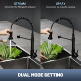 APPASO Wasserhahn Küche Schwarz, Hochdruck Küchenarmatur Schwarz mit Brause, Mischbatterie Küche mit 2 Strahlarten, Spültischarmatur für Küche 360° Drehbar | Edelstahl Mattschwarz